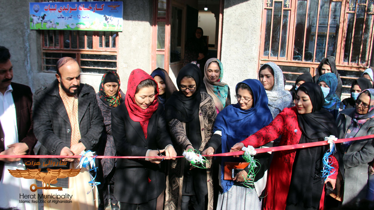 herat-municipality-15th-district-women-project
