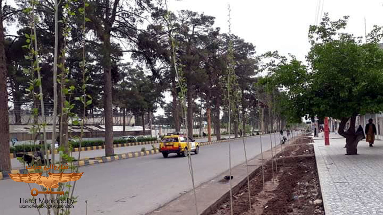 "Citizens of Herat will see more greenery growth in the new year and in the new spring"
