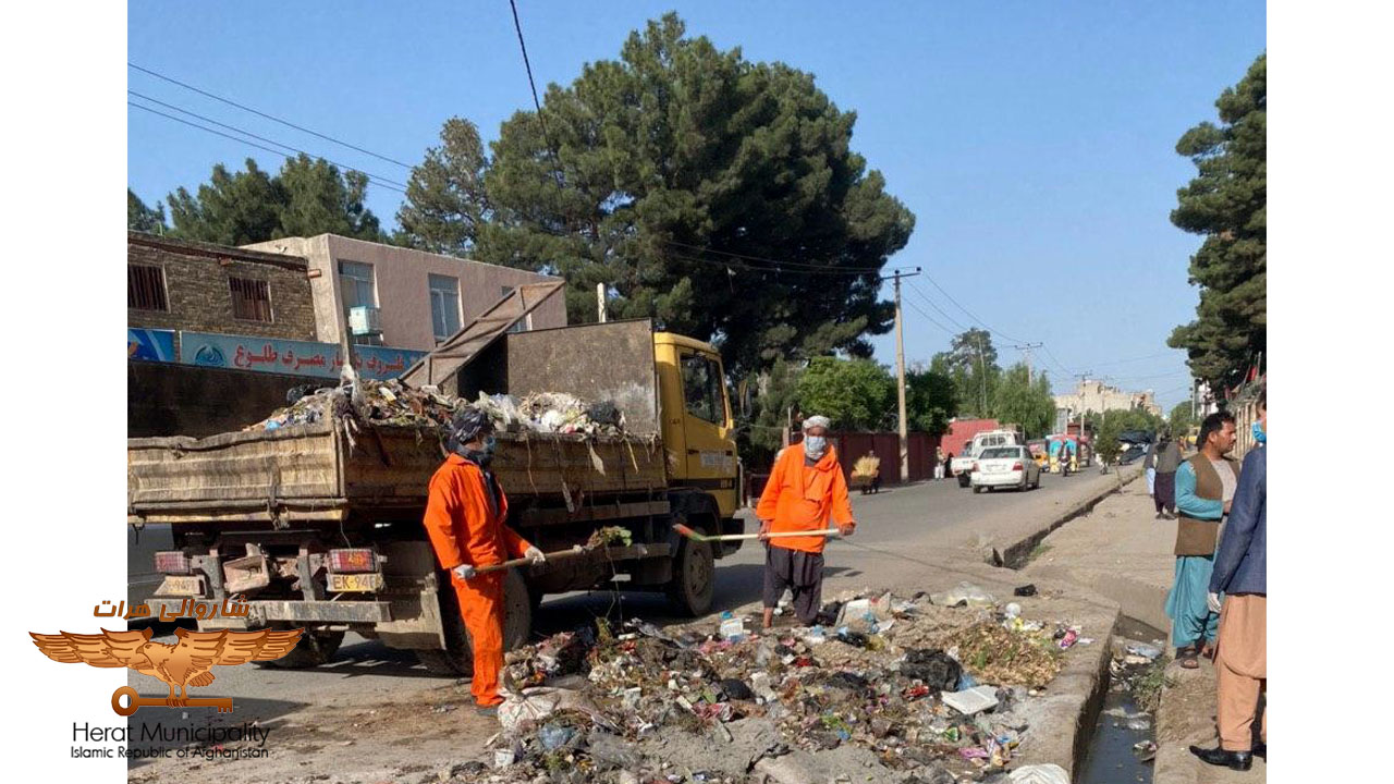 Launching a public insect program and collecting 800,000 cubic meters of waste from Herat city