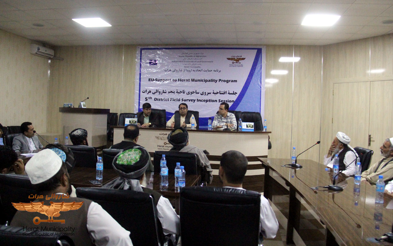 Begin the process of surveying urban places in the fifth and eighth districts of the city to prepare an improvement plan