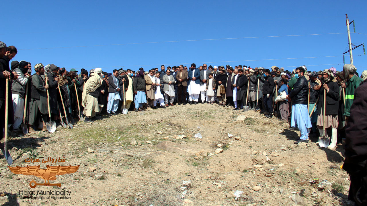 Hundreds of seedlings were planted by farmers in Herat province on the northern slopes of the city