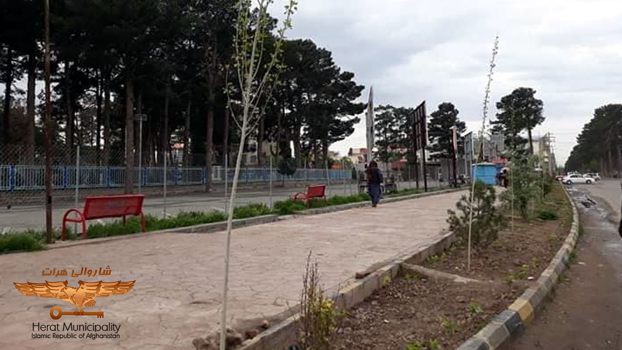 "Citizens of Herat will see more greenery growth in the new year and in the new spring"