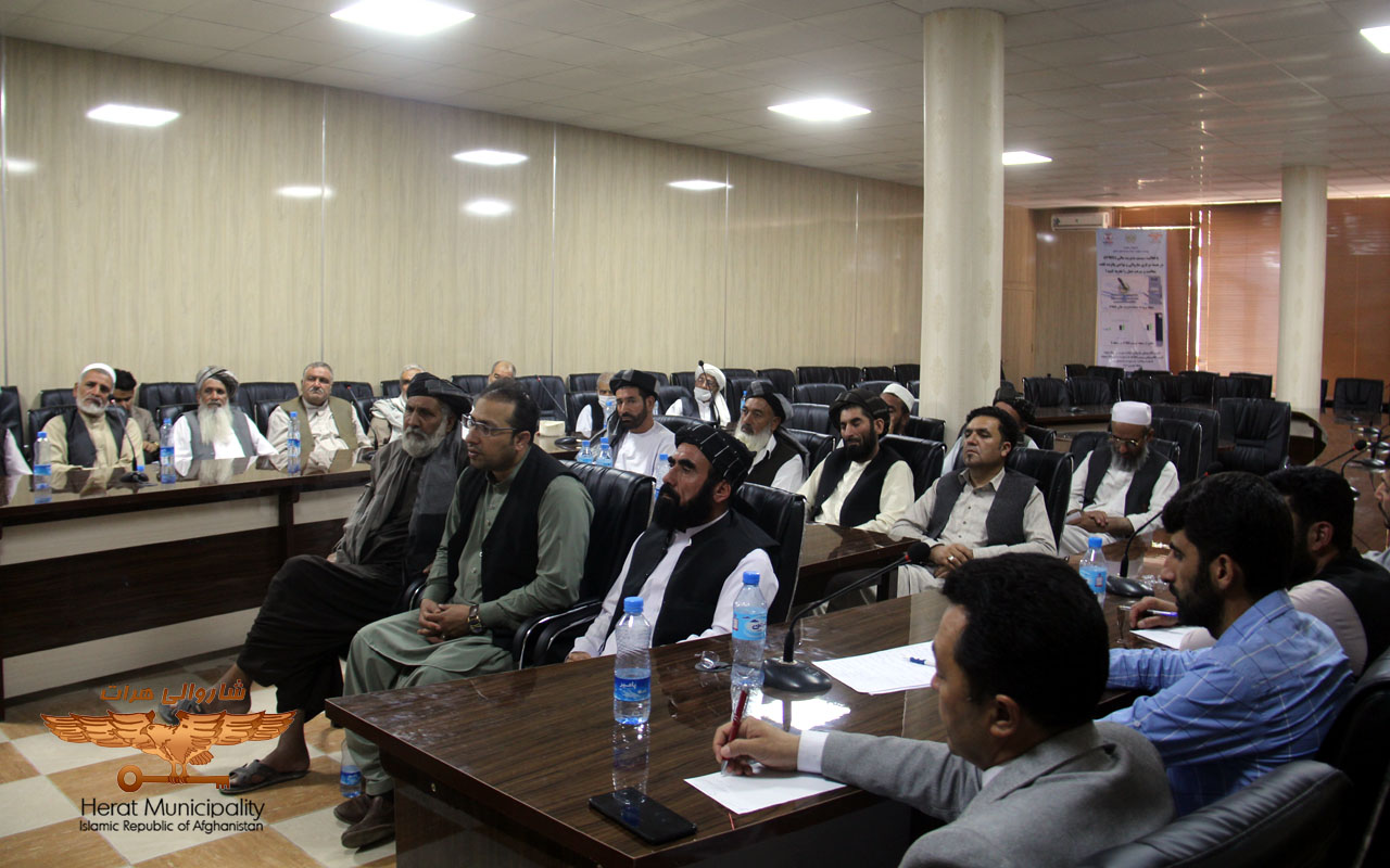 Begin the process of surveying urban places in the fifth and eighth districts of the city to prepare an improvement plan