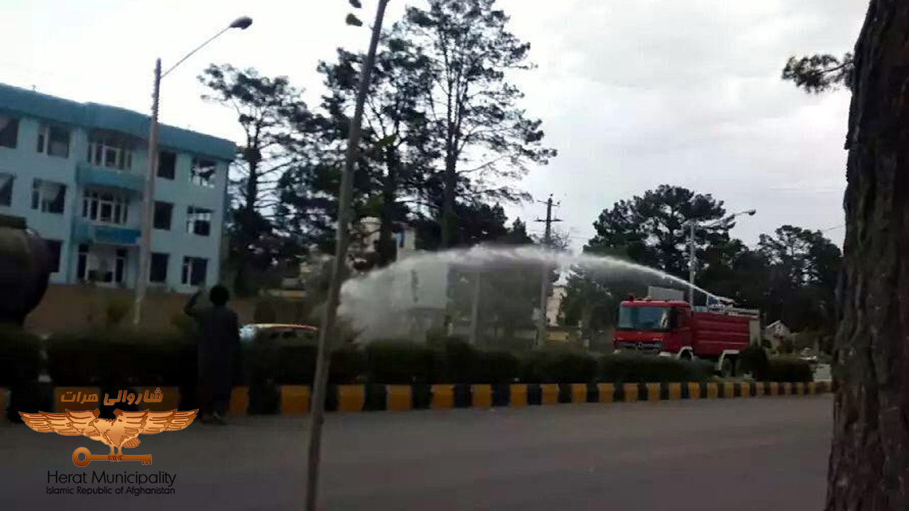 Disinfection of all public and secondary roads in the city from dawn to sunrise by Herat Municipality