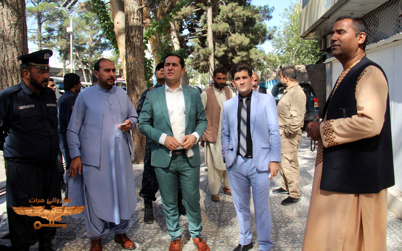 The drying of trees and shrubs is examined in urban areas