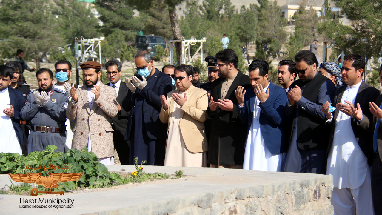 Hundreds of seedlings planted by Herat local government leadership commemorate anniversary of martyrdom