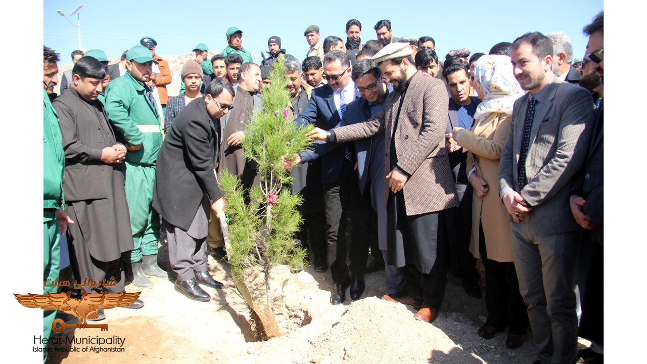 Herat municipality planting program begins with local government officials and large number of citizens