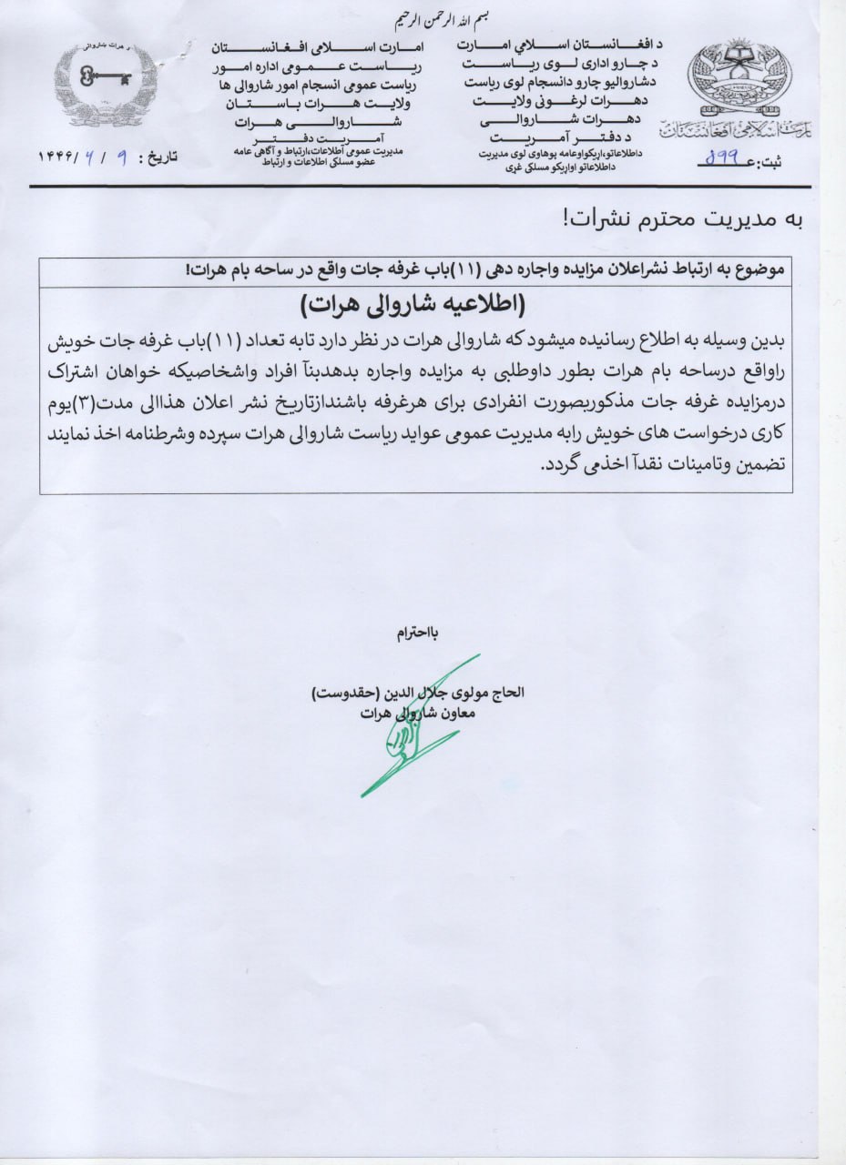 داوطلبی